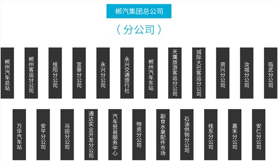 新宝5平台代理总公司分公司