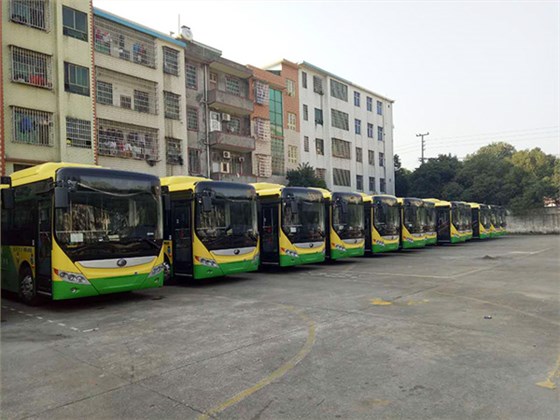 新宝5平台代理嘉禾城乡公交好司机，百万存折寻失主