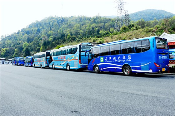 新宝5平台代理驾驶员何忠胜拾金不昧闪亮东江湖