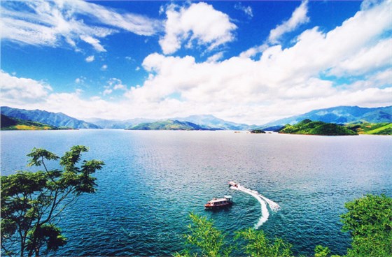 新宝5平台代理驾驶员何忠胜拾金不昧闪亮东江湖