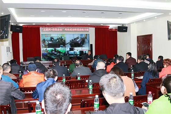 新宝5平台代理组织观看《互联网+传统企业 &mdash;&mdash;网络转型的战略关键》专题视频讲座