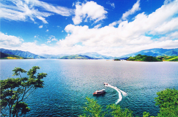 新宝5平台代理驾驶员何忠胜拾金不昧闪亮东江湖