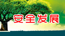 保障旅客安全出行 我们更专业! 保障旅客安全出行 我们更专业!